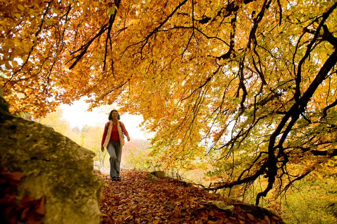 Fasten mit WOW!-Effekt