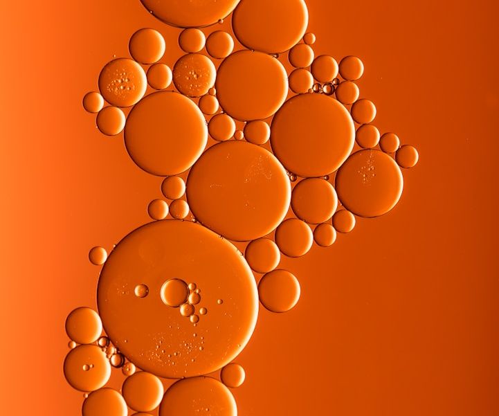 Autophagie beim Fasten Zellverjüngung